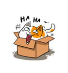 箱猫 ソルモン（個別スタンプ：20）