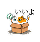 箱猫 ソルモン（個別スタンプ：24）