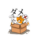 箱猫 ソルモン（個別スタンプ：25）
