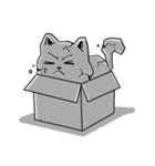 箱猫 ソルモン（個別スタンプ：32）