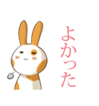 丸い顔兔シクワ（個別スタンプ：1）