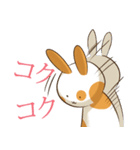 丸い顔兔シクワ（個別スタンプ：4）