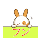 丸い顔兔シクワ（個別スタンプ：30）