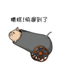 Stupid cat test for No. 1（個別スタンプ：3）