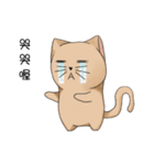 Stupid cat test for No. 1（個別スタンプ：5）