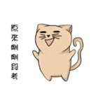 Stupid cat test for No. 1（個別スタンプ：6）