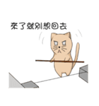 Stupid cat test for No. 1（個別スタンプ：7）