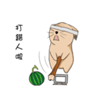 Stupid cat test for No. 1（個別スタンプ：8）