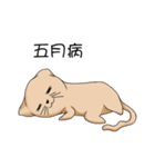 Stupid cat test for No. 1（個別スタンプ：9）