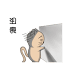 Stupid cat test for No. 1（個別スタンプ：11）
