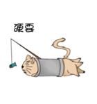 Stupid cat test for No. 1（個別スタンプ：12）