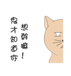 Stupid cat test for No. 1（個別スタンプ：14）