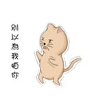 Stupid cat test for No. 1（個別スタンプ：15）