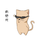 Stupid cat test for No. 1（個別スタンプ：17）