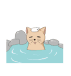 Stupid cat test for No. 1（個別スタンプ：18）