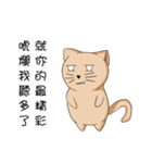 Stupid cat test for No. 1（個別スタンプ：19）