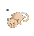 Stupid cat test for No. 1（個別スタンプ：24）