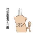 Stupid cat test for No. 1（個別スタンプ：25）