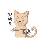Stupid cat test for No. 1（個別スタンプ：31）