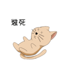 Stupid cat test for No. 1（個別スタンプ：32）