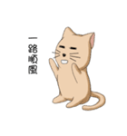 Stupid cat test for No. 1（個別スタンプ：34）