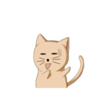 Stupid cat test for No. 1（個別スタンプ：36）