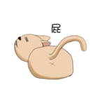 Stupid cat test for No. 1（個別スタンプ：37）