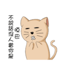 Stupid cat test for No. 1（個別スタンプ：39）