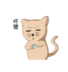 Stupid cat test for No. 1（個別スタンプ：40）