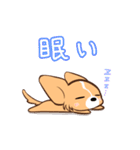 ほのぼの蓮太郎（個別スタンプ：10）