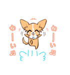 ほのぼの蓮太郎（個別スタンプ：17）