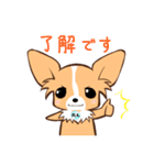 ほのぼの蓮太郎（個別スタンプ：21）