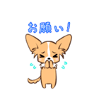 ほのぼの蓮太郎（個別スタンプ：34）