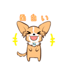 ほのぼの蓮太郎（個別スタンプ：37）