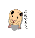 チン太郎（個別スタンプ：5）