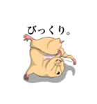 チン太郎（個別スタンプ：6）