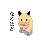 チン太郎（個別スタンプ：9）