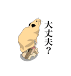 チン太郎（個別スタンプ：10）
