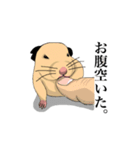 チン太郎（個別スタンプ：11）