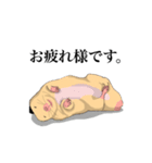 チン太郎（個別スタンプ：12）