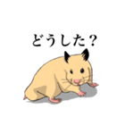 チン太郎（個別スタンプ：15）