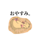 チン太郎（個別スタンプ：17）