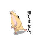 チン太郎（個別スタンプ：25）