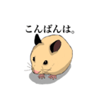チン太郎（個別スタンプ：28）