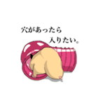 チン太郎（個別スタンプ：30）