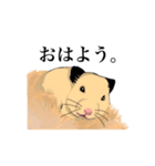 チン太郎（個別スタンプ：32）