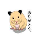 チン太郎（個別スタンプ：34）