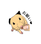 チン太郎（個別スタンプ：36）