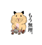 チン太郎（個別スタンプ：38）