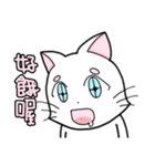 White cat's daily（個別スタンプ：1）
